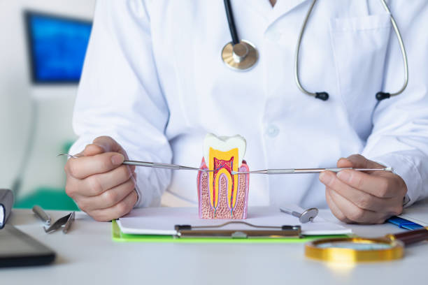 Best Emergency Root Canal Treatment in Alpine, NJ